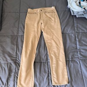 Banana Republic Traveler Pant